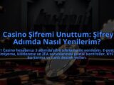21-Casino-Sifremi-Unuttum-Sifreyi-3-Adimda-Nasil-Yenilerim-overlay-1784391955.jpg