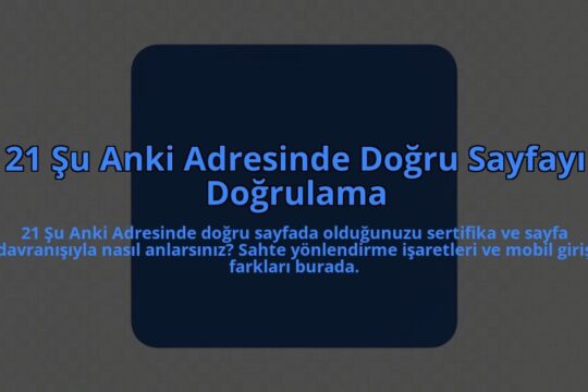 21-Su-Anki-Adresinde-Dogru-Sayfayi-Dogrulama-overlay-1785081646.jpg
